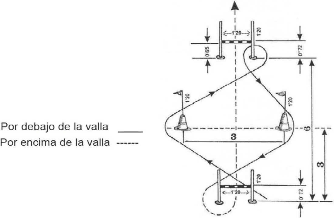Imagen del texto oficial